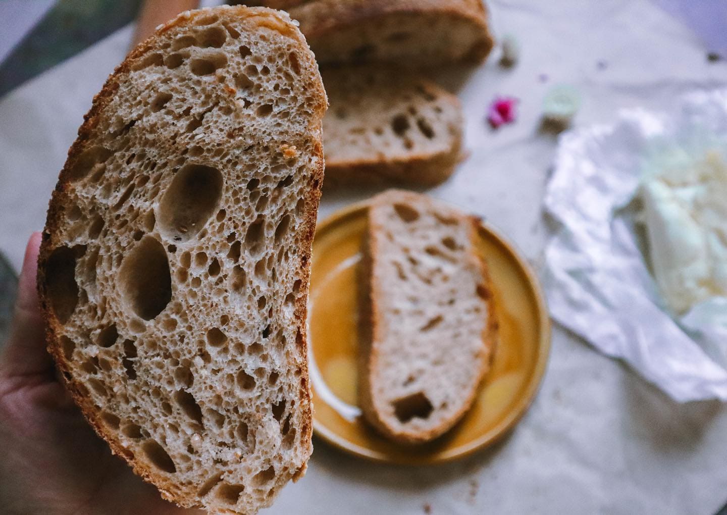 246354226_118717030570669_6225286912495379345_n